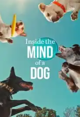 Inside the Mind of a Dog (2024)